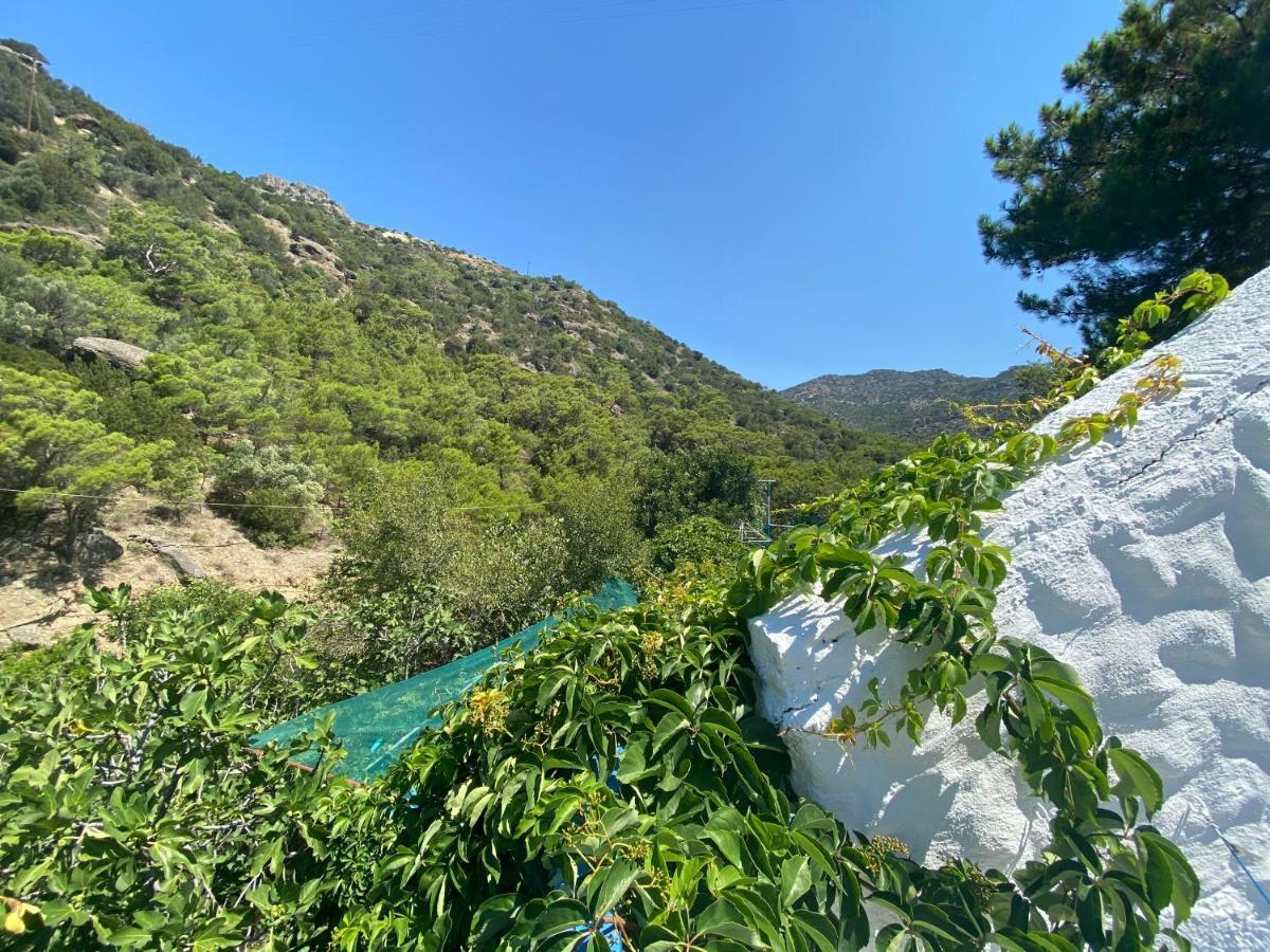 Oleander'S Garden Traditional Cretan Cottage Φέρμα Εξωτερικό φωτογραφία