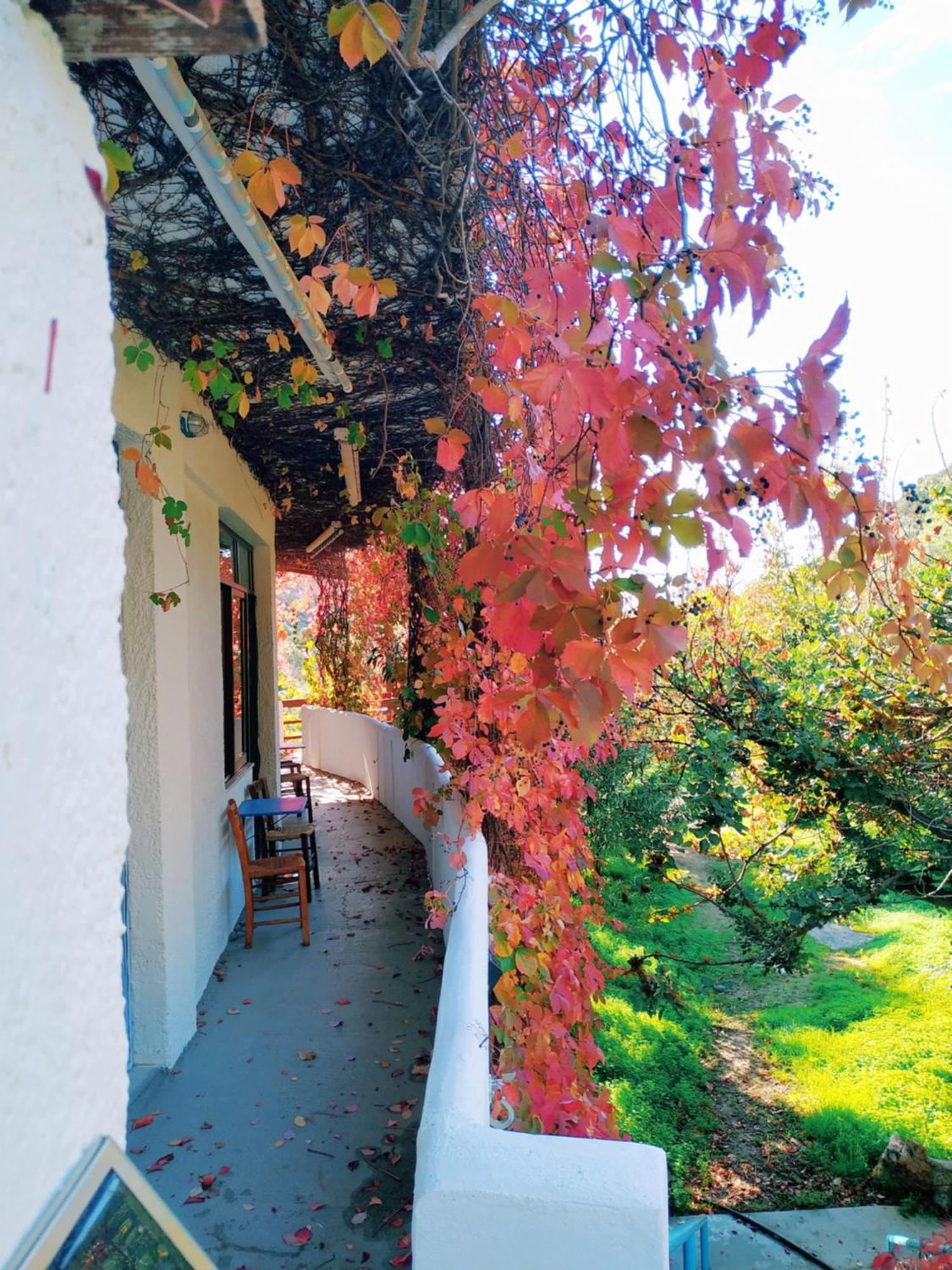 Oleander'S Garden Traditional Cretan Cottage Φέρμα Εξωτερικό φωτογραφία