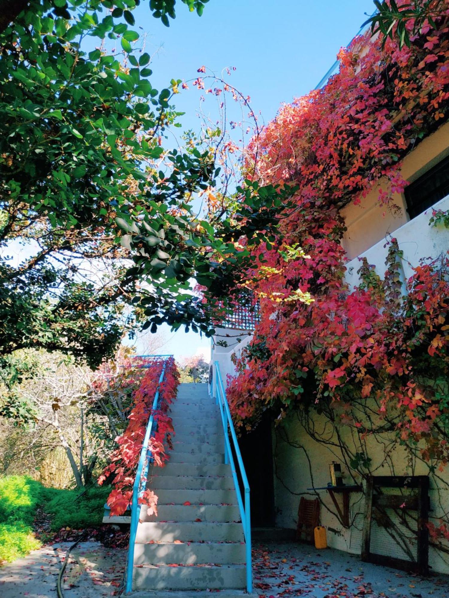 Oleander'S Garden Traditional Cretan Cottage Φέρμα Εξωτερικό φωτογραφία