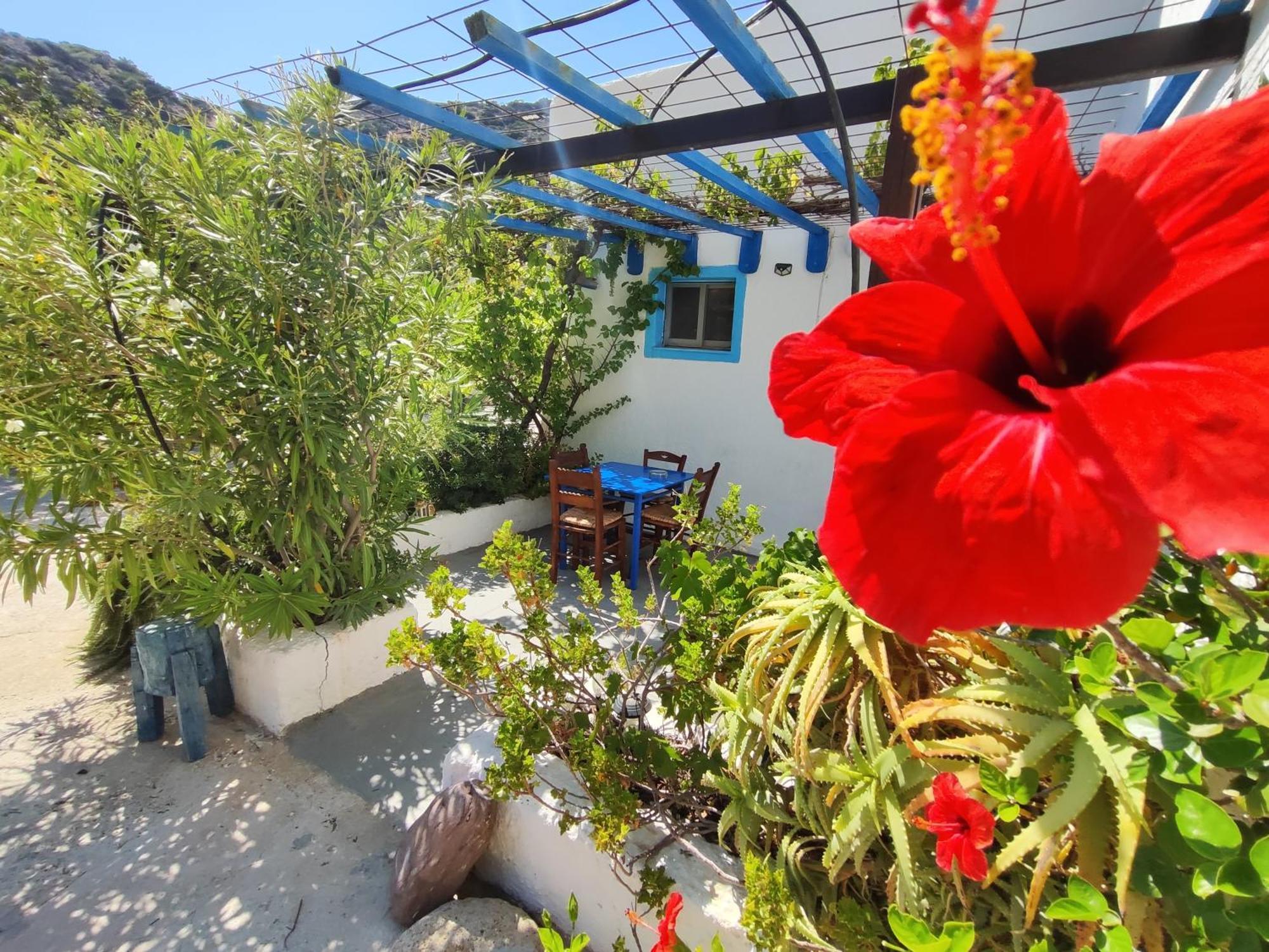 Oleander'S Garden Traditional Cretan Cottage Φέρμα Εξωτερικό φωτογραφία