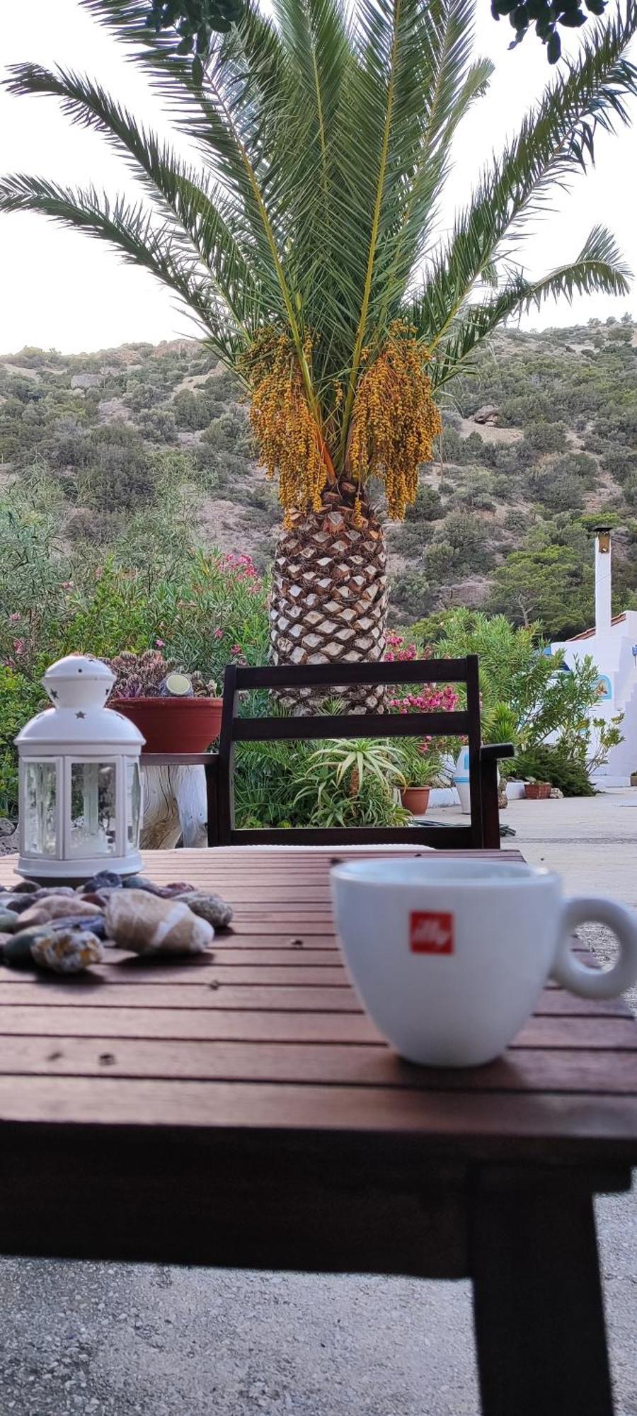 Oleander'S Garden Traditional Cretan Cottage Φέρμα Εξωτερικό φωτογραφία