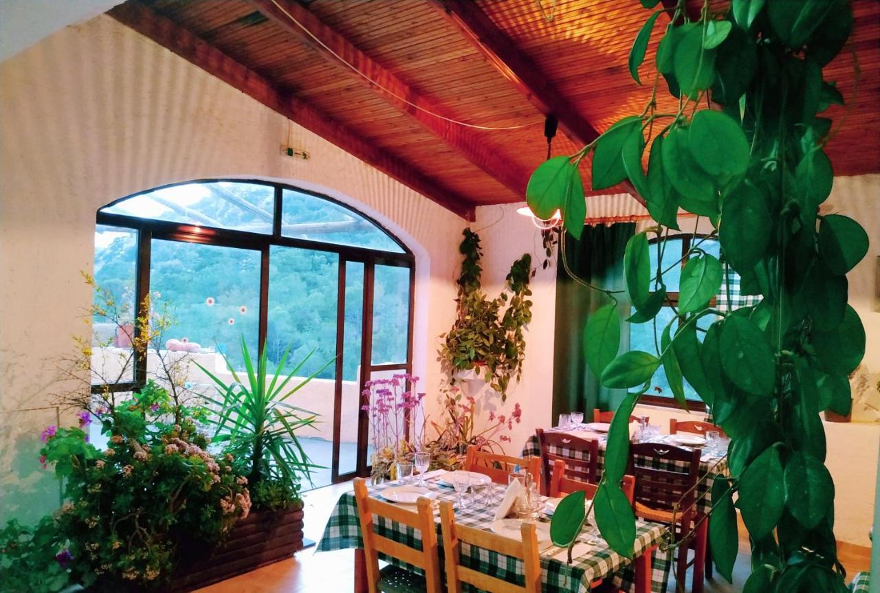 Oleander'S Garden Traditional Cretan Cottage Φέρμα Εξωτερικό φωτογραφία